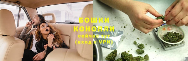 крисы Липки