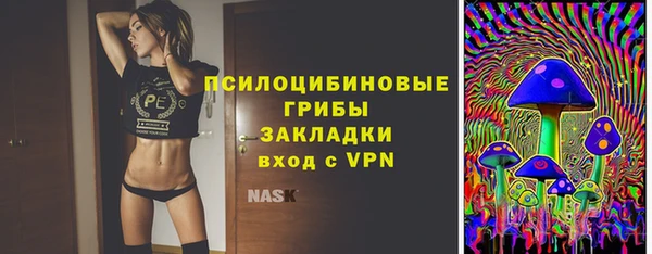 крисы Липки