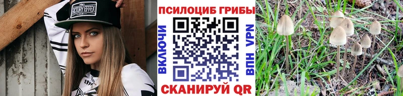 Купить где Кизилюрт Галлюциногенные грибы прущие грибы